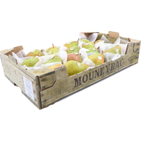 POIRE DOYENNE DU COMICE MOUNEYRAC KG